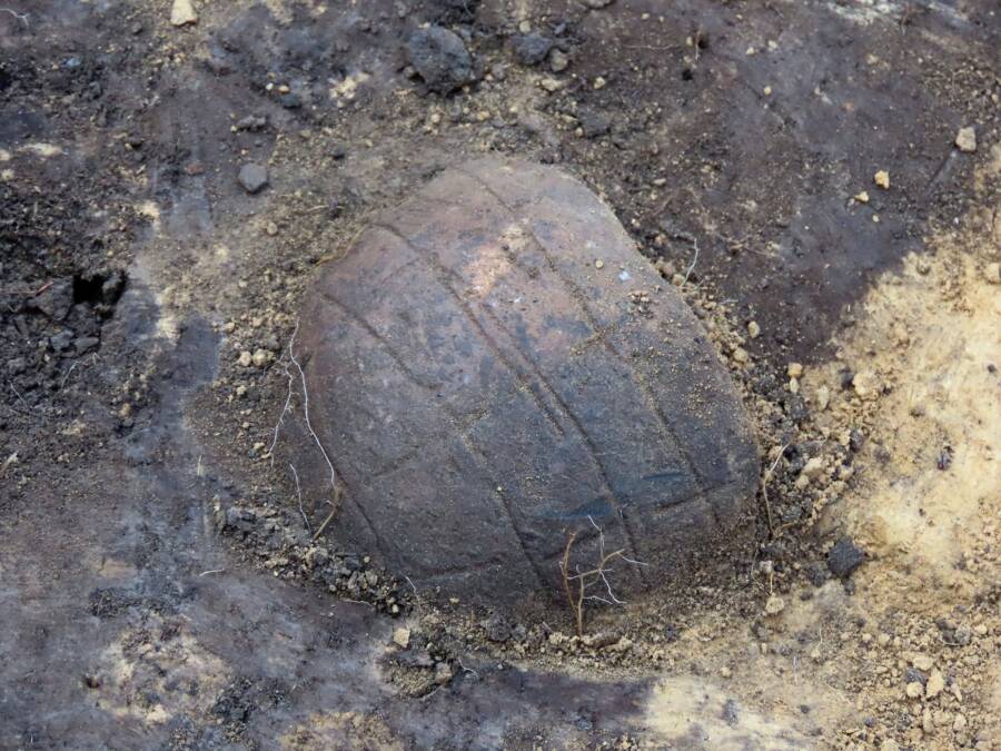 A 6,000-Year-Old Neolithic Longhouse In Poland Archaeologists Just Unearthed